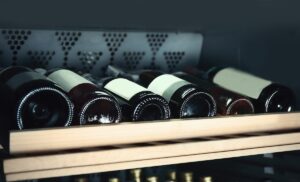 High-End Wine Refrigerators